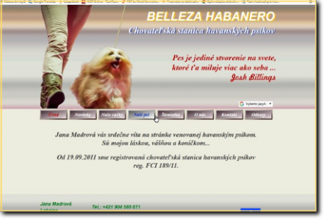 Web BELLEZA HABANERO