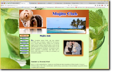 WWW Mojito Club